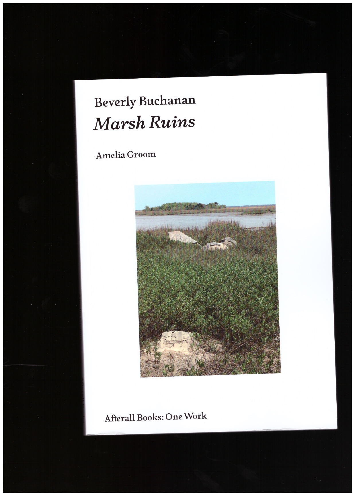 GROOM, Amelia - Beverly Buchanan: Marsh Ruins